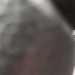 Meet your Posher, Ellen